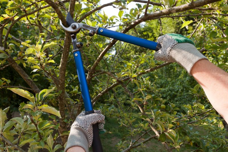 Tree and Shrub Pruners