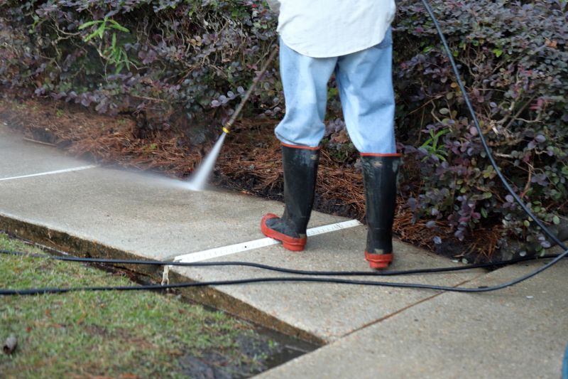 Pathway and Patio Cleaning