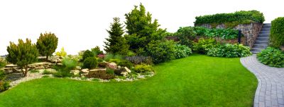 Shrub Trimming and Care!